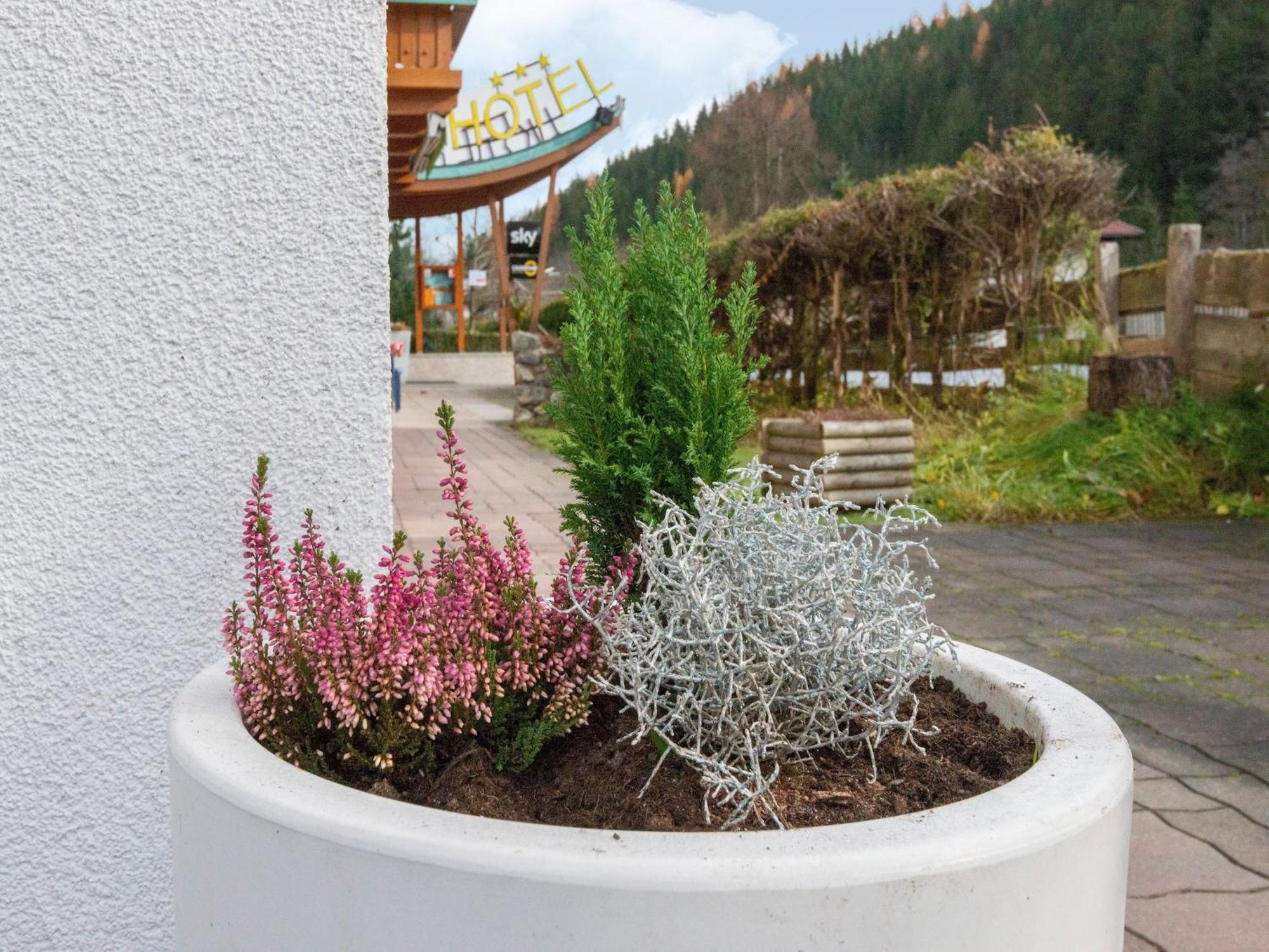 Lovely With Sauna Storage Pool Terrace Apartment Wald im Pinzgau